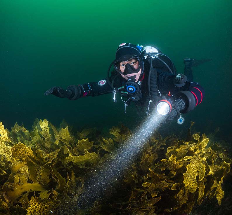 RECREATIONAL DIVER 1